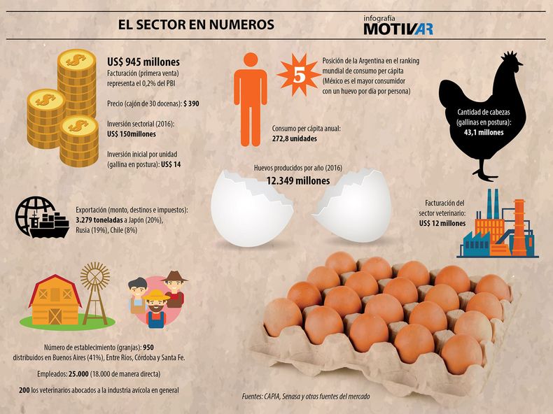 Producci N Del Huevo En Argentina Es La Prote Na M S Barata En Todo El