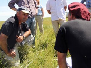 Clave. Los pastizales y praderas secuestran carbino del aire y se incorpora al suelo con los restos vegetales. La planificación del pastoreo permite optimizar esta función.