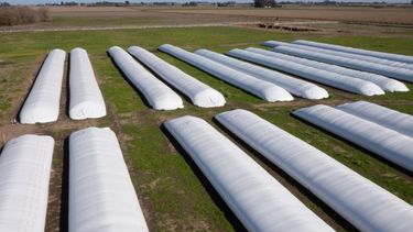 Especialistas del INTA impulsan la evolución del silobolsa.