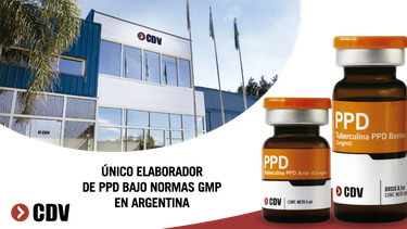 Motivar | PPD_REDES SOCIALES_1200x629 1.png