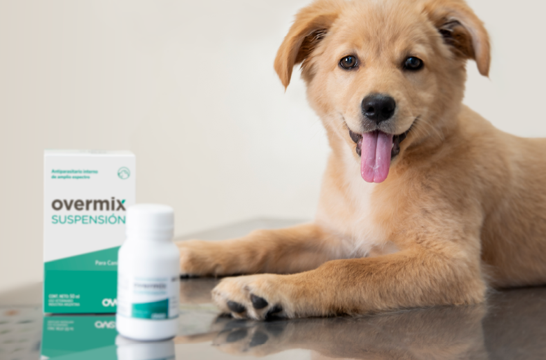 OVER presenta una nueva solución antiparasitaria para asegurar la salud de los cachorros.
