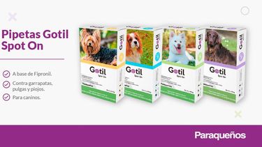 Pipetas Gotil Spot On para pulgas