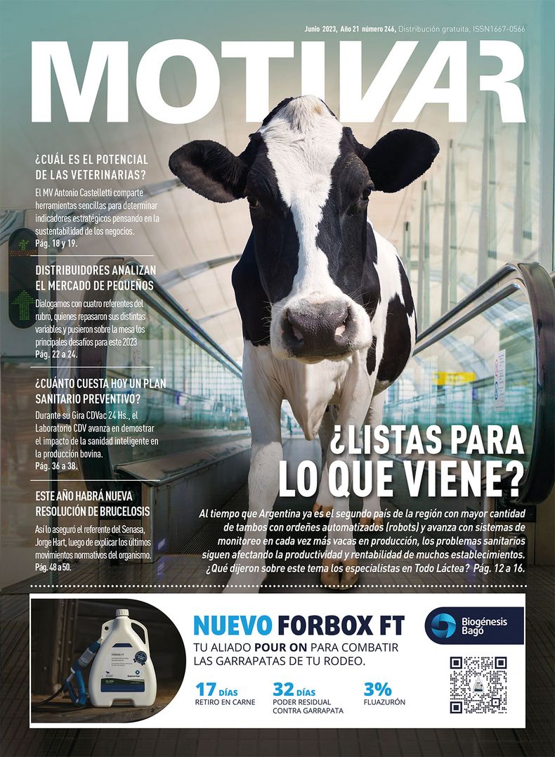 Portada 246