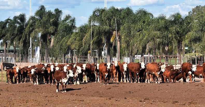 Vetanco y Conecar e1573247578318.jpg