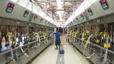 Motivar | Israel 2.jpg