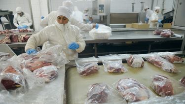 El sector cárnico argentino consolida su presencia global, impulsando las exportaciones y afianzando su rol estratégico en mercados internacionales.