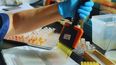La innovación en laboratorios como el del INTA Rafaela es clave para combatir la Tristeza bovina y proteger la salud del ganado.