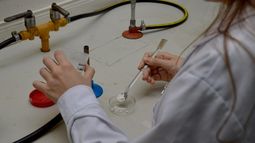 El probiótico muestra resultados concretos en producción porcina. El probiótico muestra resultados concretos en producción porcina.