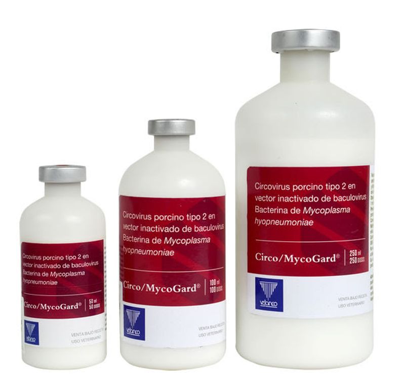 Nueva vacuna de Vetanco para porcinos.