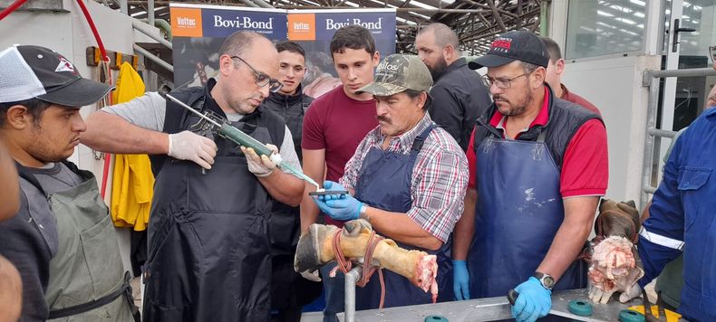 El curso de podología bovina estará a cargo del MV Enrique Pofcher.