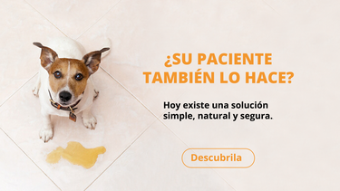 Motivar | nota patrocinada_Nota Patrocinada.png