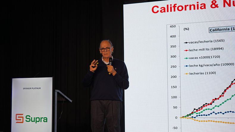 “La lechería debe ser eficiente y sustentable”, según Alejandro Castillo, consultor internacional.