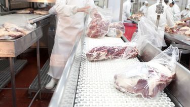 El sector cárnico argentino impulsa sus exportaciones, consolidando su presencia en mercados internacionales.