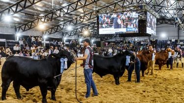 El evento ganadero reunirá lo mejor de la genética bovina, en un espacio de negocios, innovación y tradición.