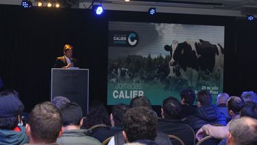 Motivar | Calier (1)