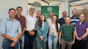 Aujeszky. El colegio entrerriano de veterinarios busca un rol activo en su erradicación.