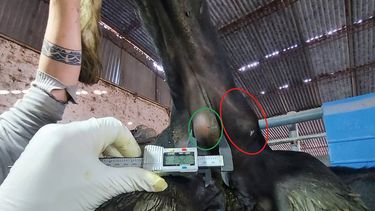 Motivar | Garro foto 1.jpg