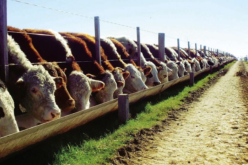 La oferta de carnes crece, pero falta retención ganadera.