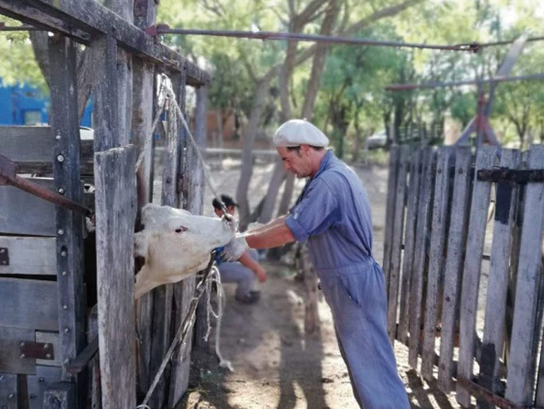 “Hay que simplificar loque creemos complicado y que de la mano de nuestro veterinario podemos creceraún más”