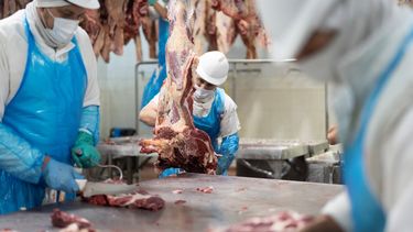 La cadena cárnica argentina busca unificar criterios para fortalecer su presencia en los mercados internacionales de exportación de carne.