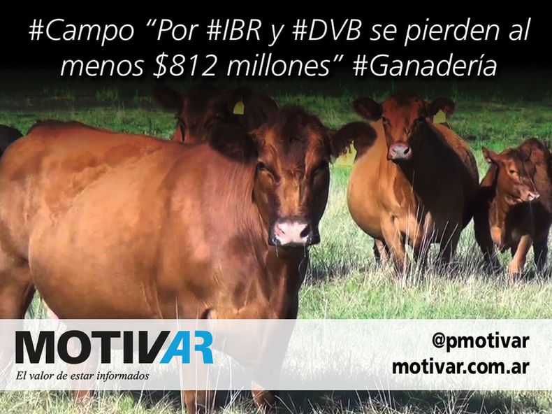 Foto Twitter MOTIVAR135 editorial.jpg