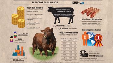 Motivar | INFOgrafia ganaderia.jpg