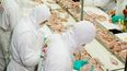 La suspensión de las exportaciones estaba vigente desde el 3 de septiembre.