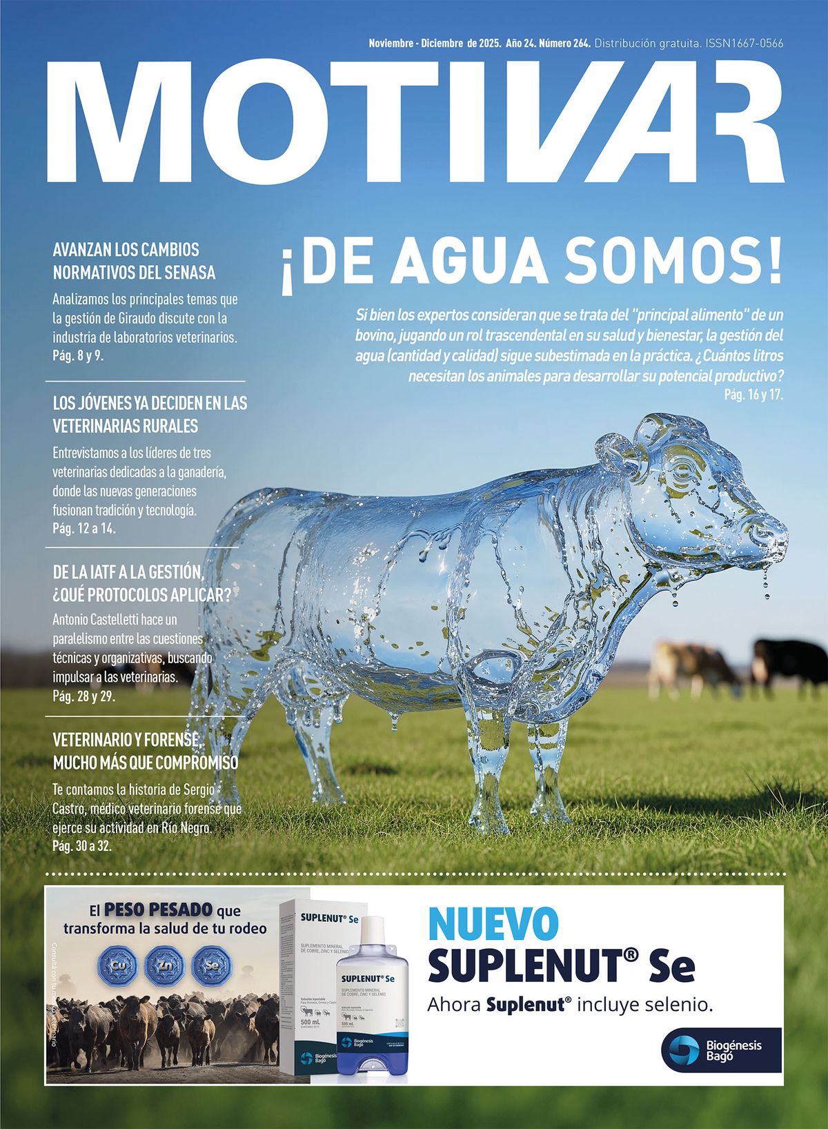 MOTIVAR N° 264 - Noviembre-diciembre 2025