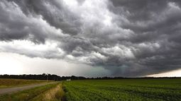 El clima condiciona el avance de la campaña agrícola. El clima condiciona el avance de la campaña agrícola.