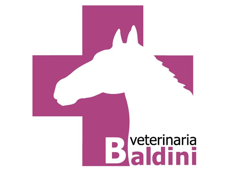 Baldini.jpg
