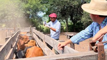 El inductor de Agropharma garantiza grandes resultados incorporándolo a la rutina.