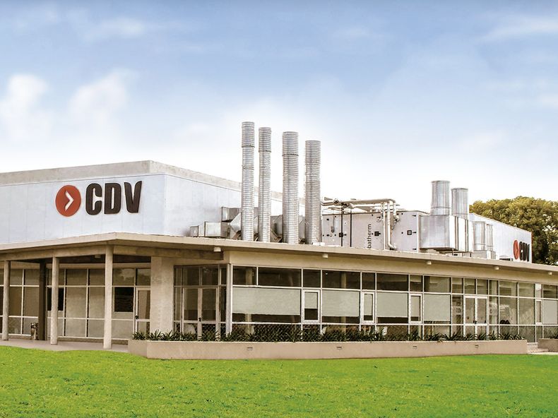 CDV planta aftosa.jpg