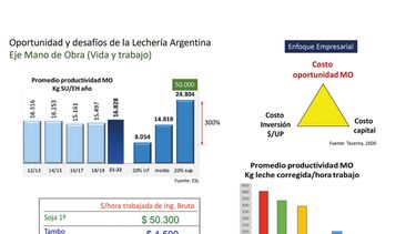 Motivar | cuadro lecheria.jpg