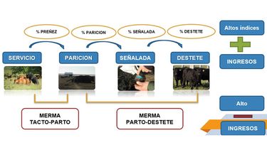 Motivar | Toni Grafico 1.jpg