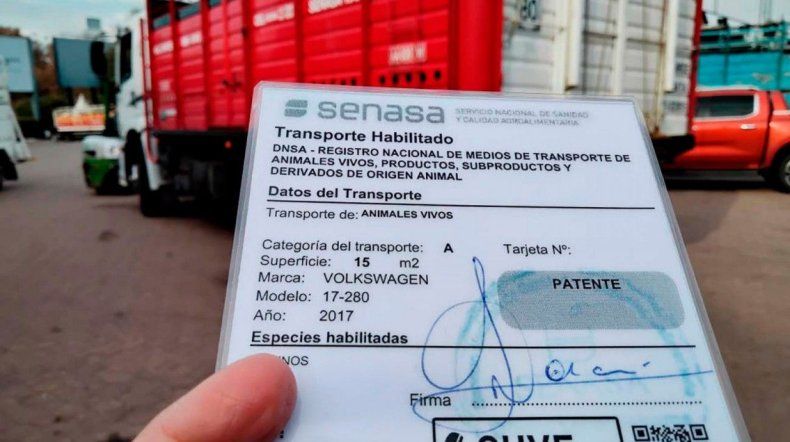 La resolución del Senasa asigna responsabilidades claras a los actores involucrados en el traslado de animales vivos.