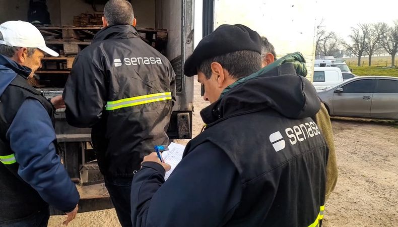 Senasa busca resguardar la inocuidad y calidad de la mercadería transportada y proteger la salud pública.