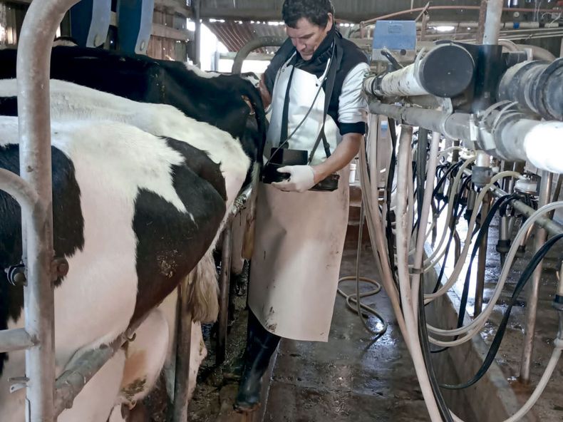 “La sanidad define la productividad en la lechería”, afirmó Claudio Sarramone.