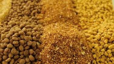 Producción y consumo de alimentos balanceados, en retroceso.