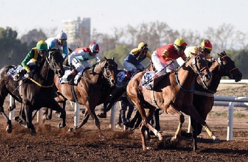 invierno caballos.jpg
