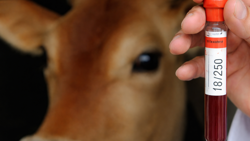 El colegio veterinario cuestiona una medida vinculada al Sistema de Gestión de Toma de Muestra. El colegio veterinario cuestiona una medida vinculada al Sistema de Gestión de Toma de Muestra.