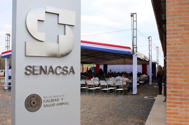 El Senacsa evalúa los pasos para transitar hacia una condición libre sin vacunación.