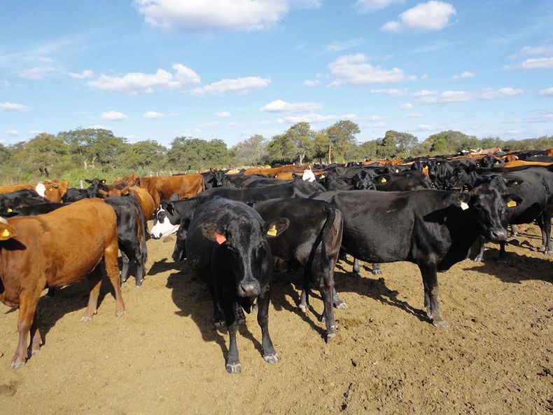 foto Nota de Tapa.jpg