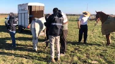 Hasta la fecha, el Senasa asistió a más de 25eventos ecuestres, donde fiscalizó el ingreso de 1.582 equinos.