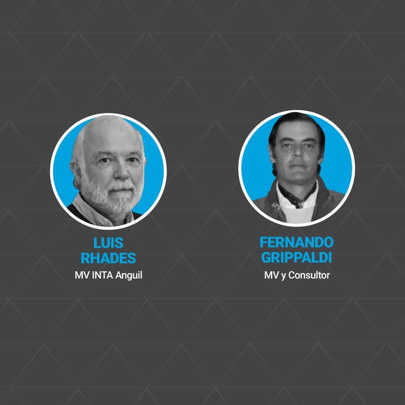 MotivarLive 02 11 doble.jpg