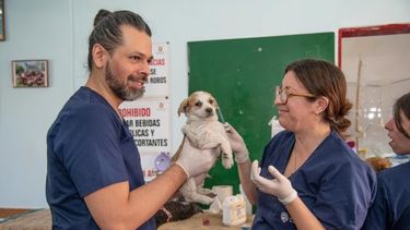 Animales de compañía. El esquema de atención contempla guardias activas y pasivas.