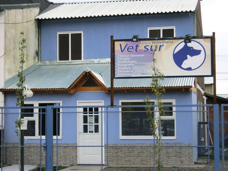 Vet Sur 2.jpg