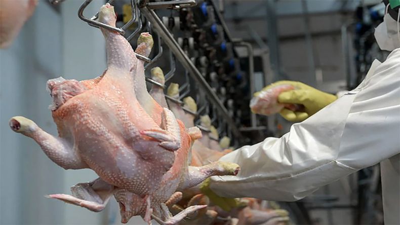Estatus sanitario. CEPA celebra la restitución lograda y pone el foco en la sanidad.