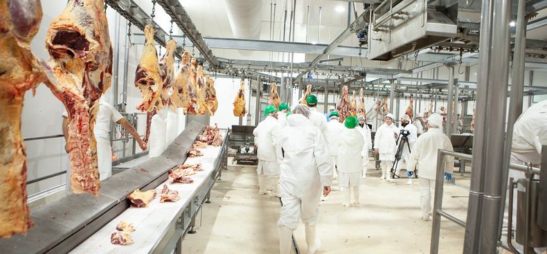 Al mantener el estatus libre de fiebre aftosa, los compradores tienen confianza a la hora de obtener las carnes.
