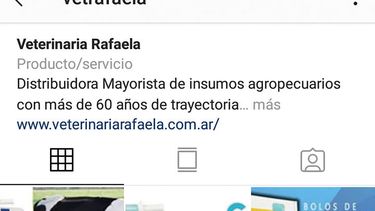 Motivar | VetRafaela.jpg