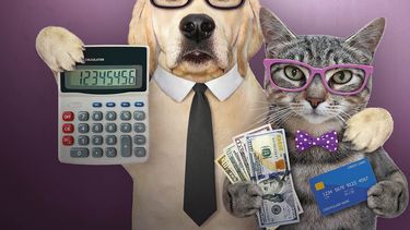 Motivar | Tapa Motivar FEBRERO.jpg